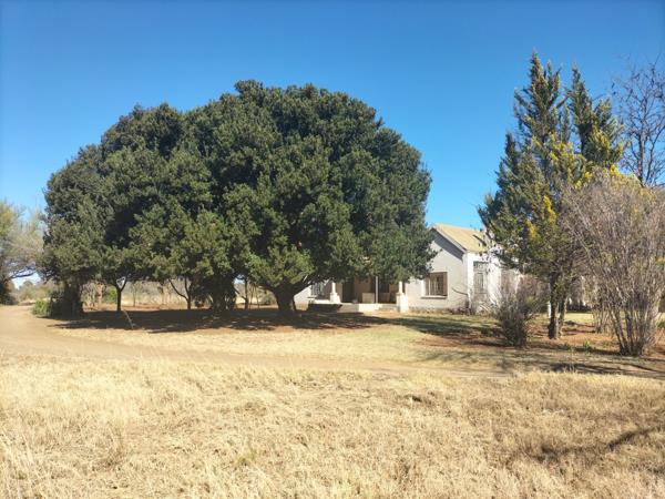 22.4 ha Smallholding