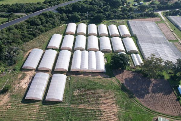 49 ha Agricultural Holding