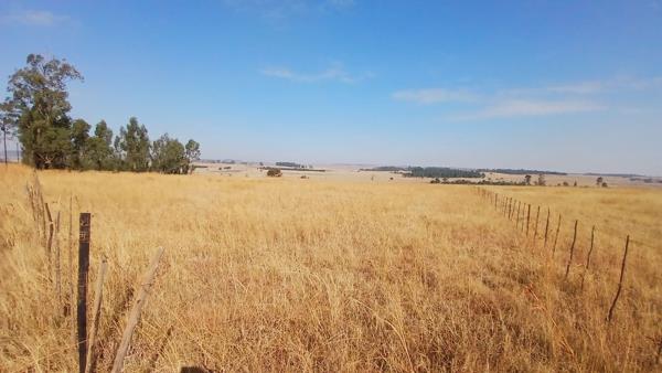 161.8 ha Farm