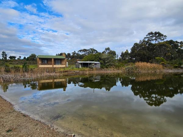 49 m² Farm