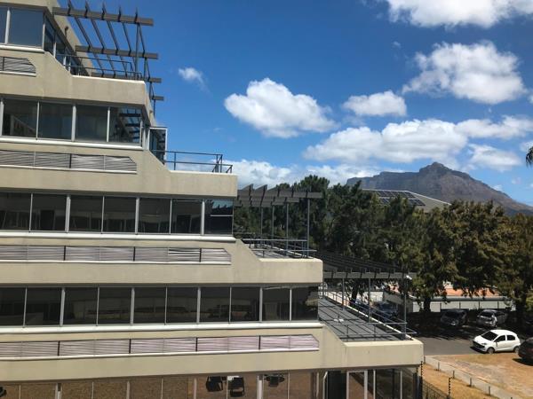 249  m² Office Space