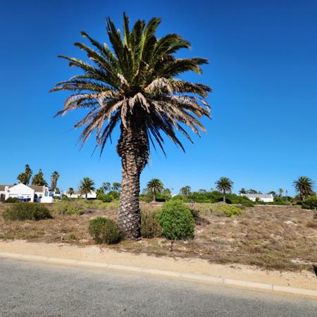 450 m² Land