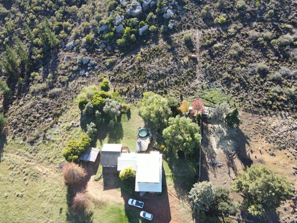 295.9 ha Farm with House