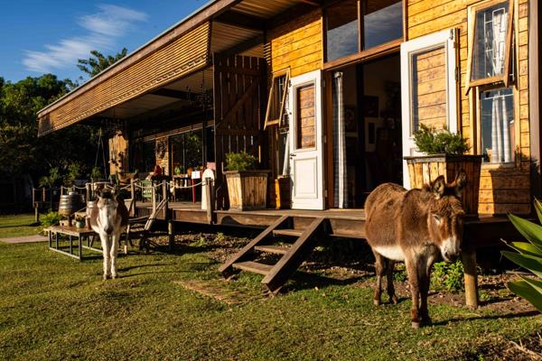 3 m² Smallholding