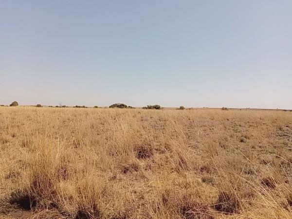 Farm