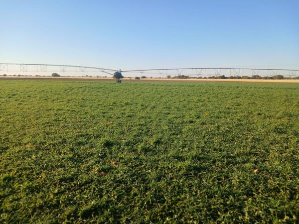 Farm