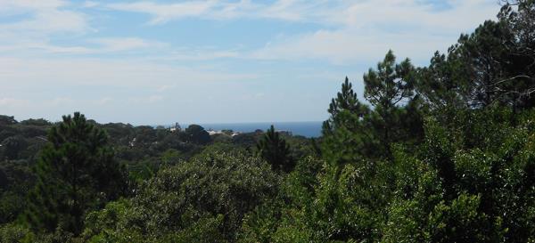 3 031 m² Land