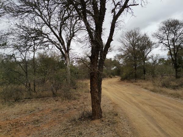 9 621 m² Land