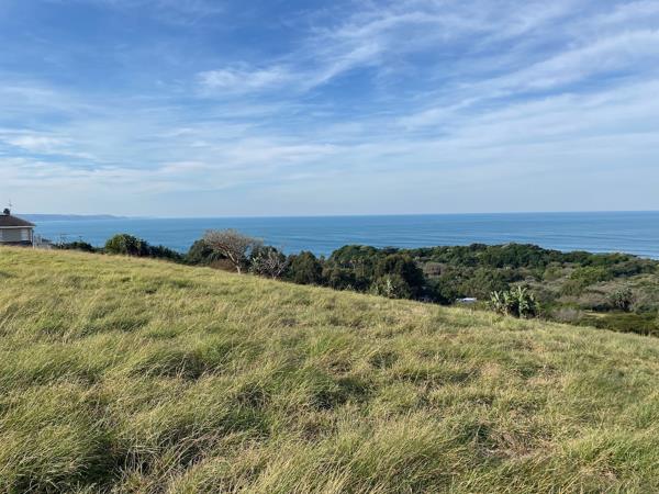 805 m² Land