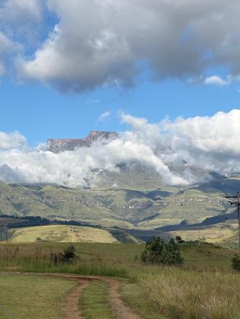 600 ha Farm