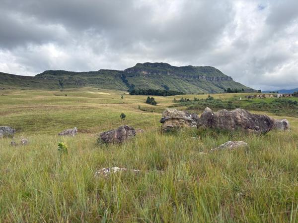 600 ha Farm