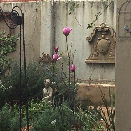 1.5 Bedroom Apartment