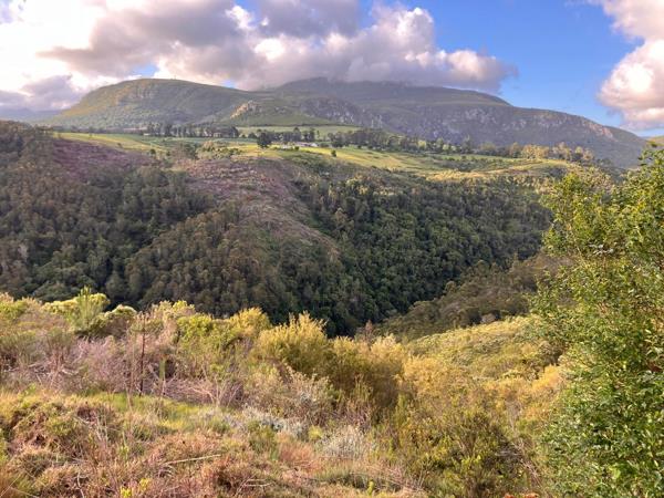 3.6 ha Land