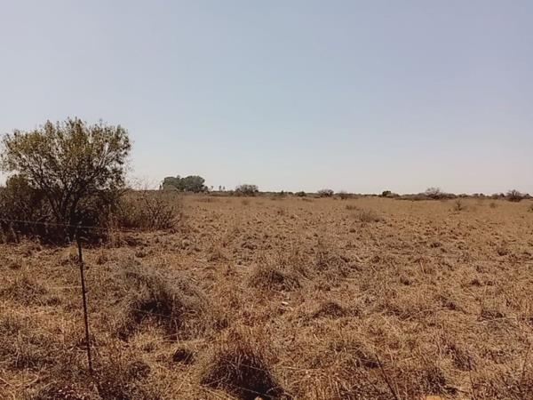 Farm