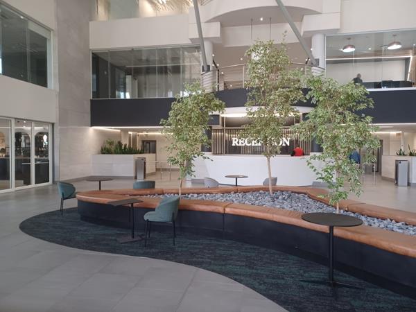 215  m² Office Space