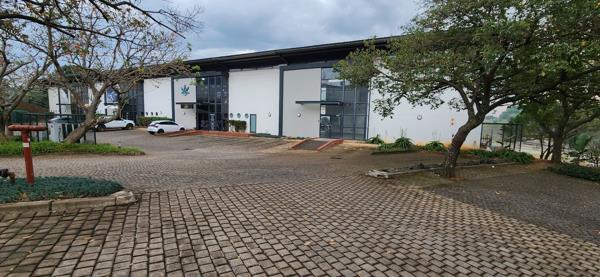 262  m² Office Space