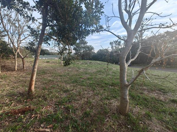 1 137 m² Land
