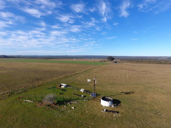 126 ha Farm
