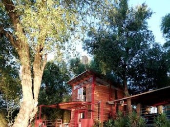 346  m² Commercial space