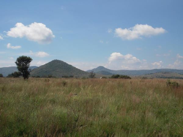 21.4 ha Farm