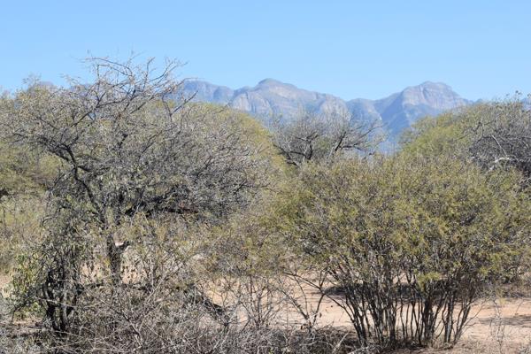 4 907 m² Land