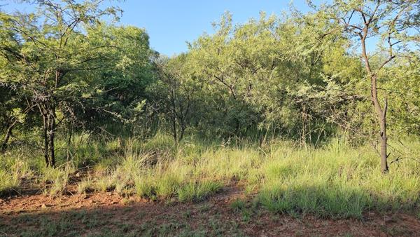 754 m² Land