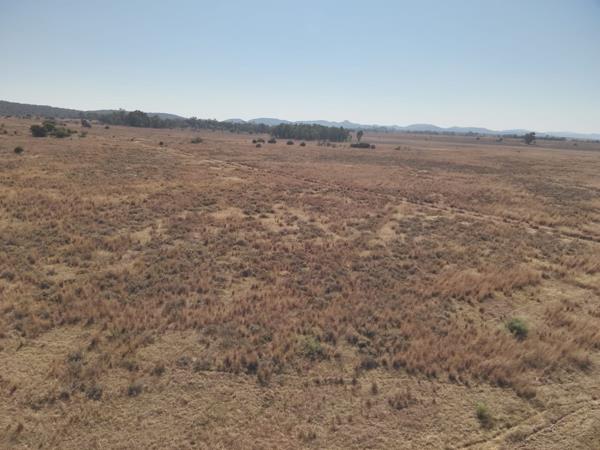 256 ha Farm with House