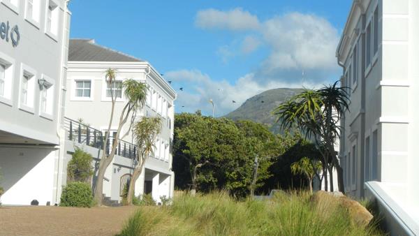 244  m² Office Space