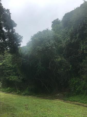 625 m² Land