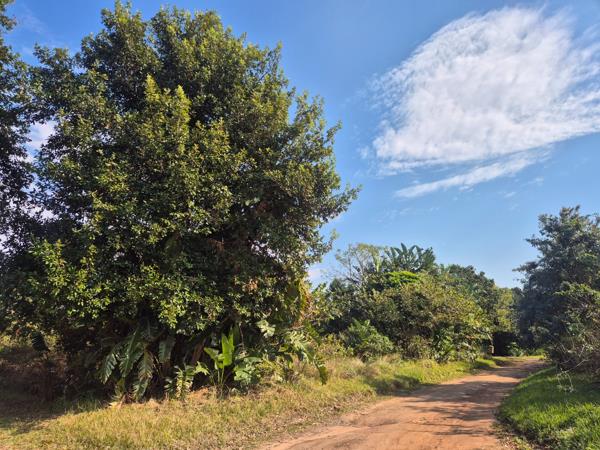 1 858 m² Land