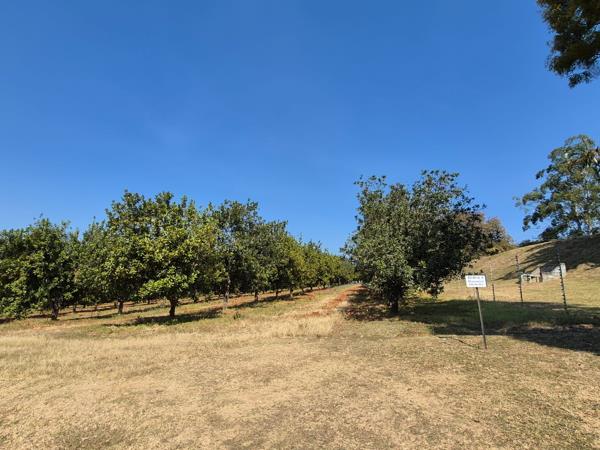 66 ha Farm