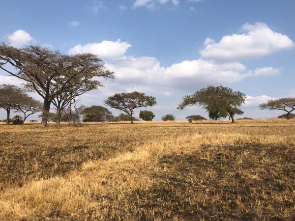 1 ha Land
