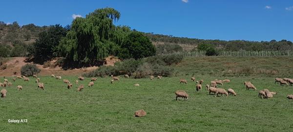 574.8 ha Farm