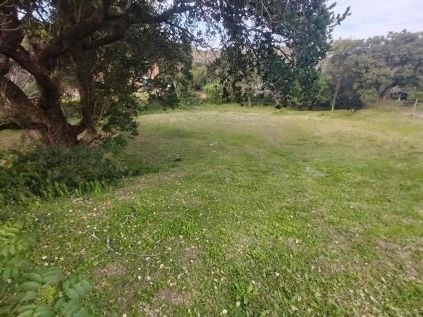1 742 m² Land