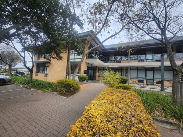 184.6  m² Commercial space