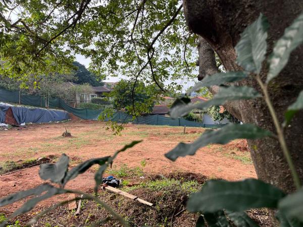 950 m² Land