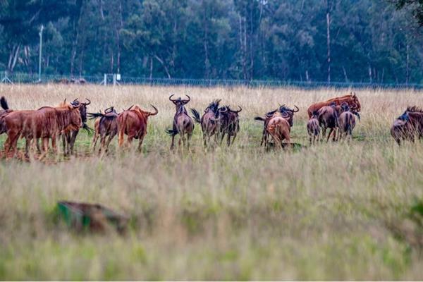 122 ha Farm
