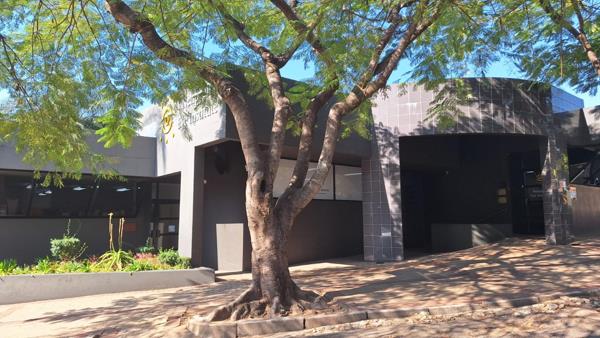 142  m² Commercial space