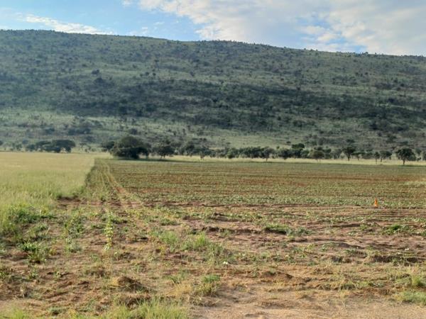 23.9 ha Land