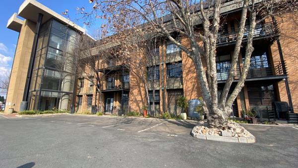 313  m² Commercial space