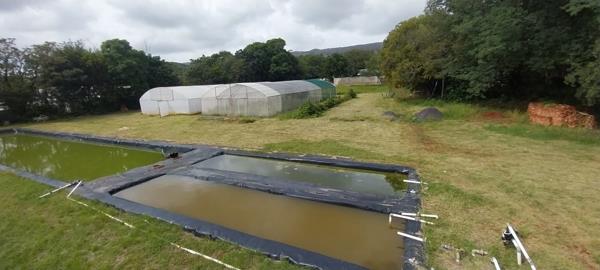 9.1 ha Farm with House