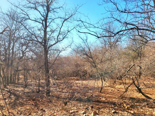 1 500 m² Land