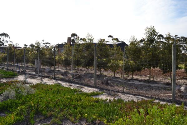 285 m² Land