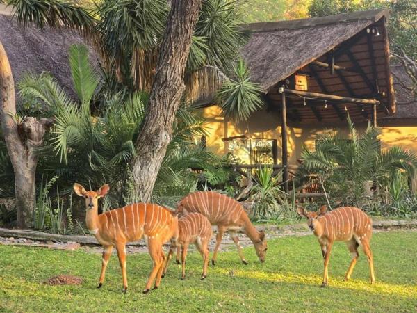 650  m² Commercial space