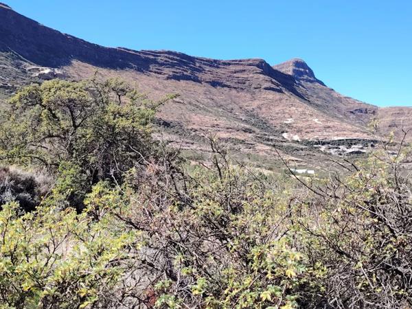 2 474 m² Land