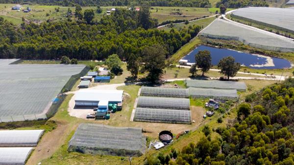 25.7 ha Smallholding