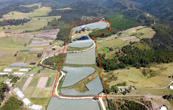 15.3 ha Smallholding