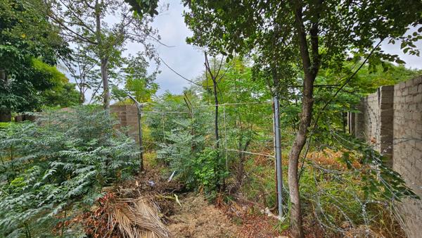 1 677 m² Land