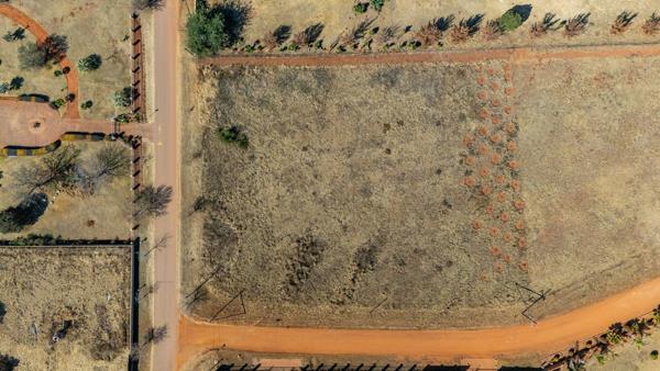 1 ha Land