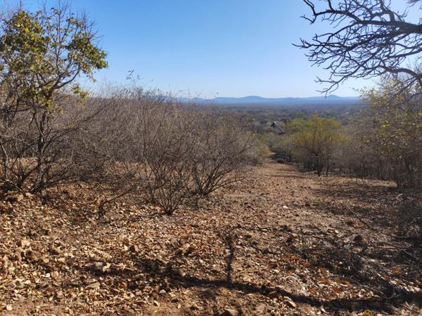 2 991 m² Land